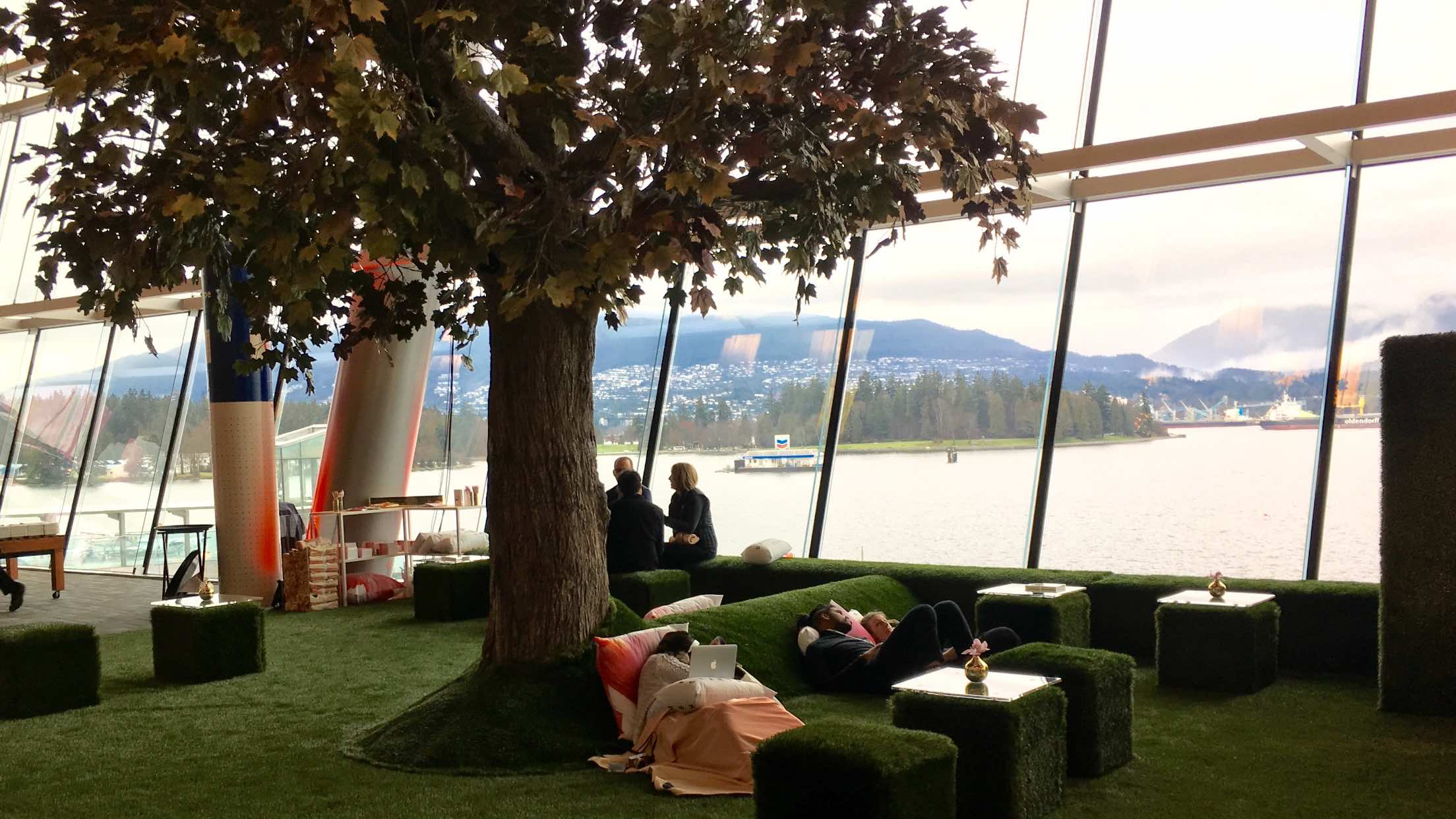 indoor lounge area with tree and faux grass and floor-to-ceiling windows