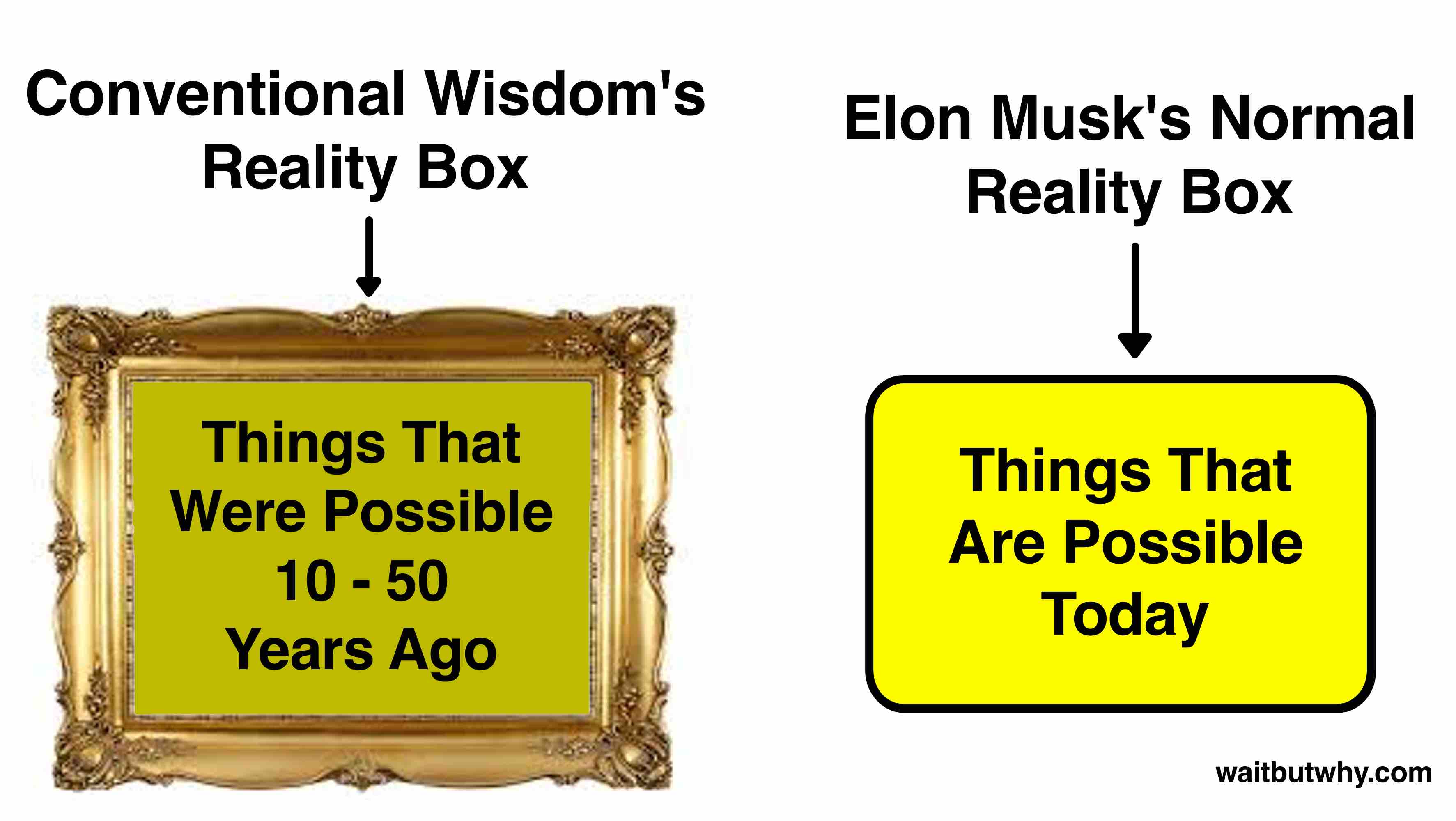 Musk Visionary 2