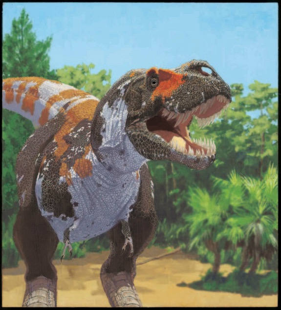 T-rex-120501