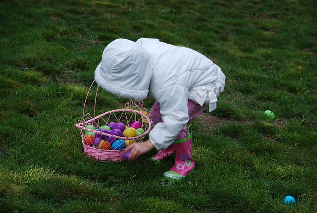 easter, egg, hunt