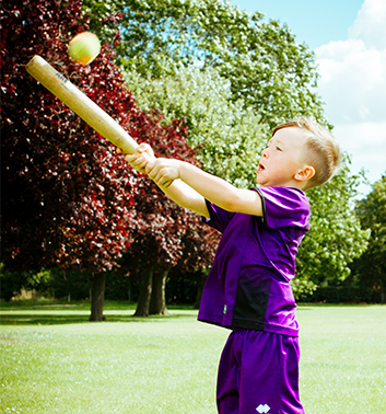 Baseball Softball boy bat ball purple 353x378 1