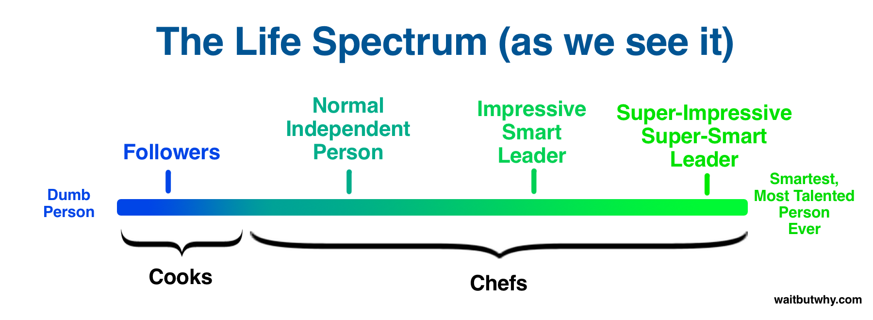 Chef-Cook Life Spectrum Skewed