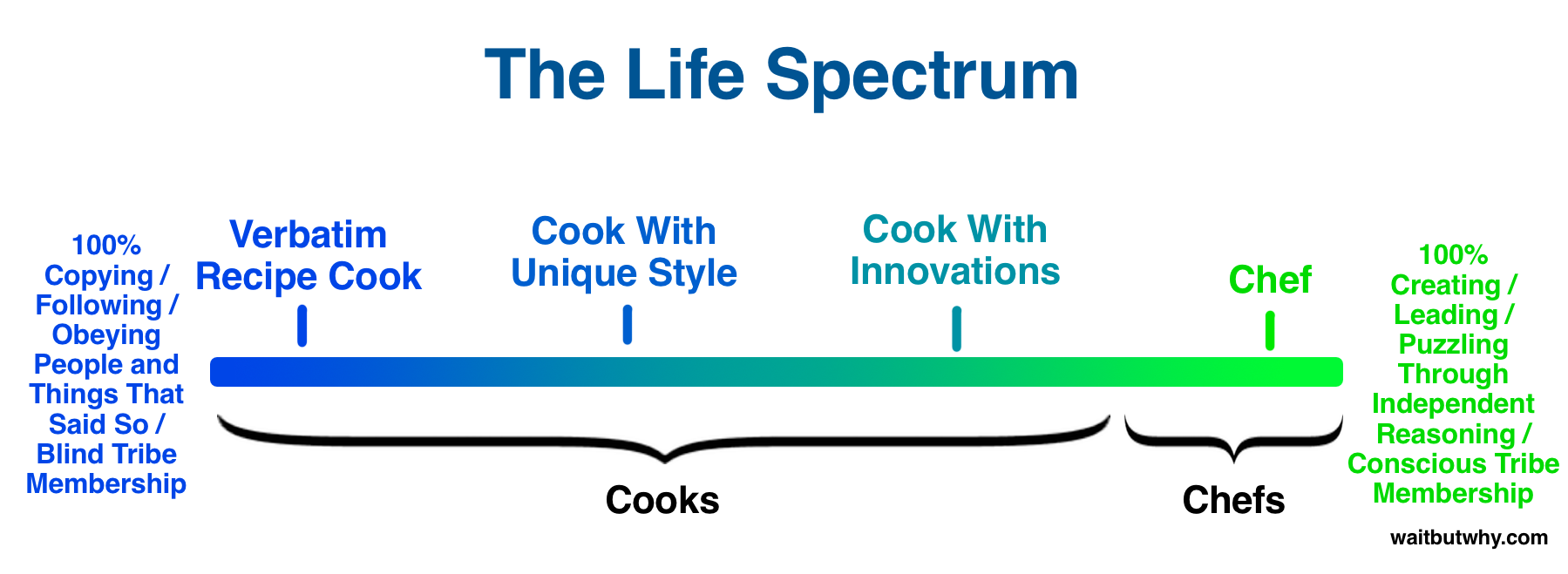 Chef-Cook Life Spectrum
