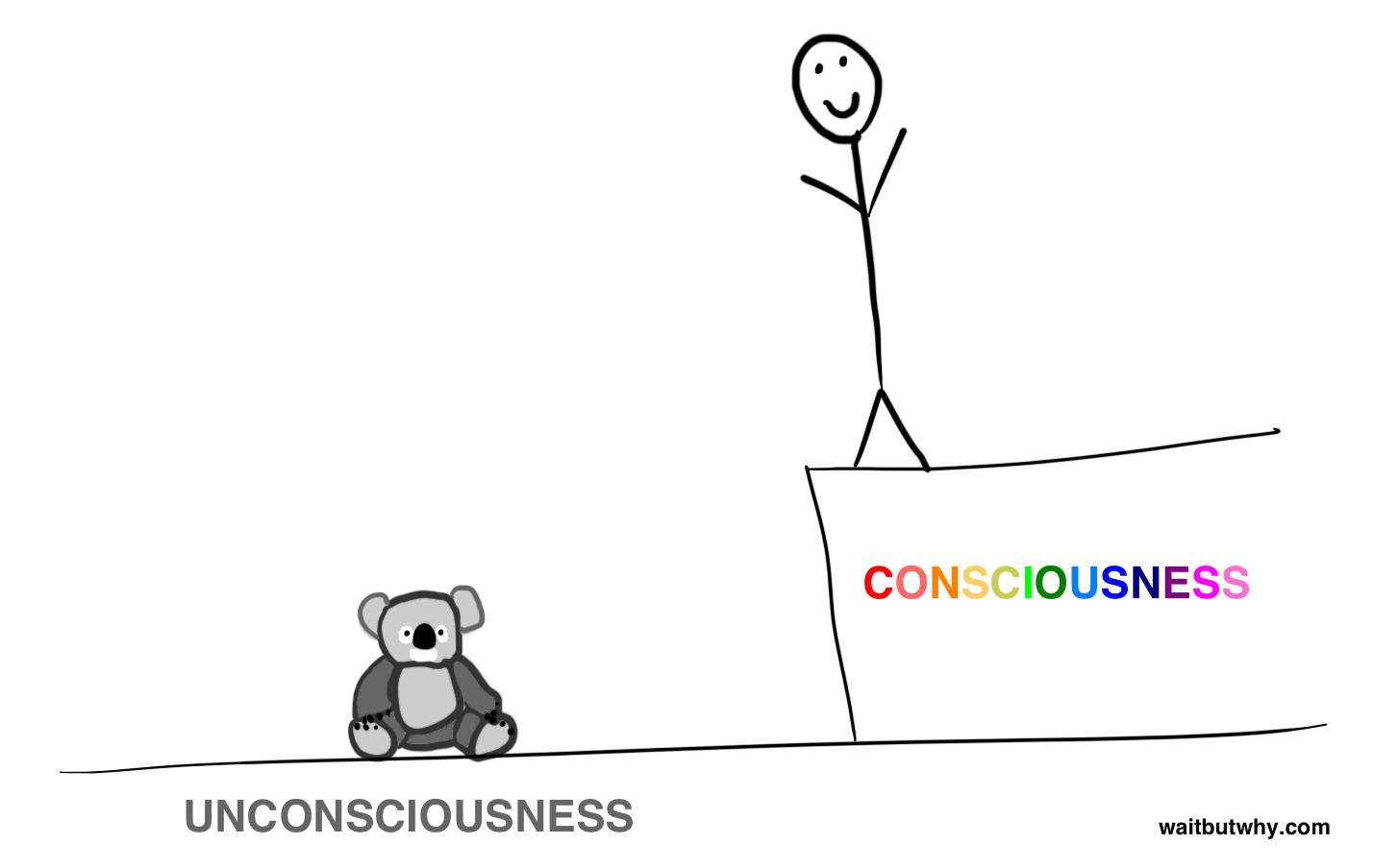 consciousness binary
