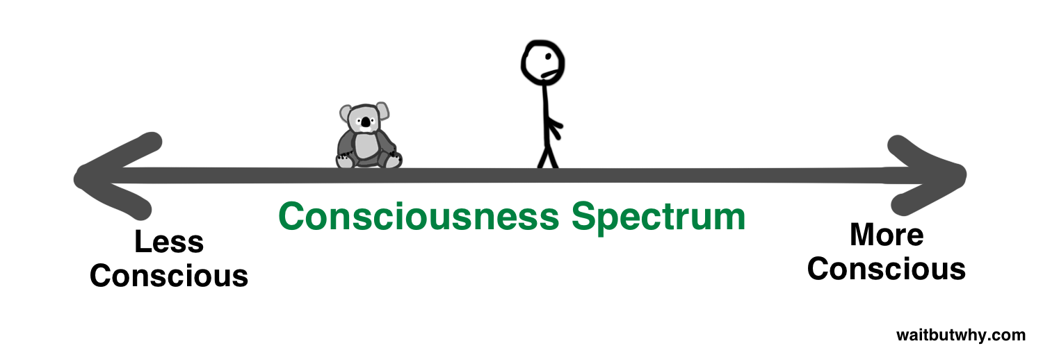 consciousness spectrum