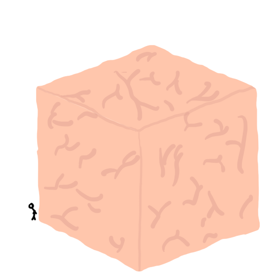 brain cube