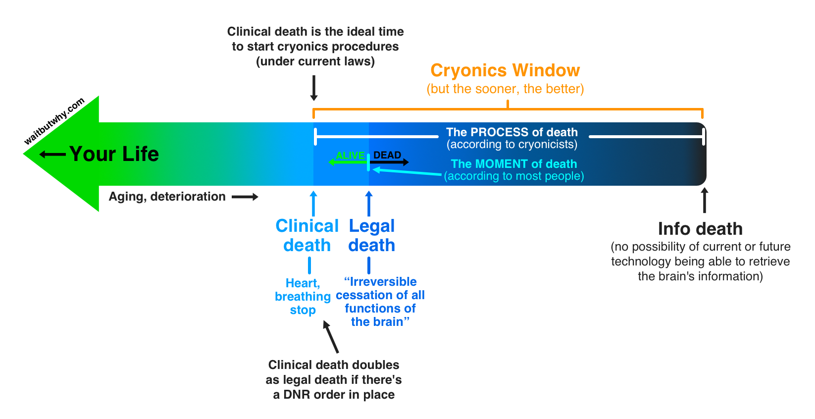 Death chart